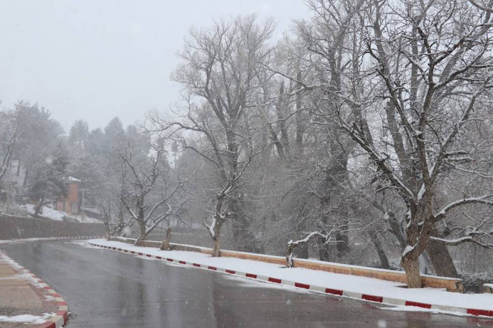 طقس بارد وأمطار متفرقة مع ثلوج