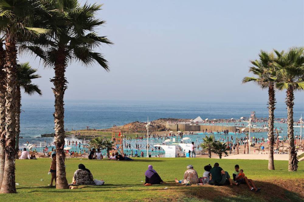 أجواء حارة بعدة مناطق وسحب وضباب بالسواحل