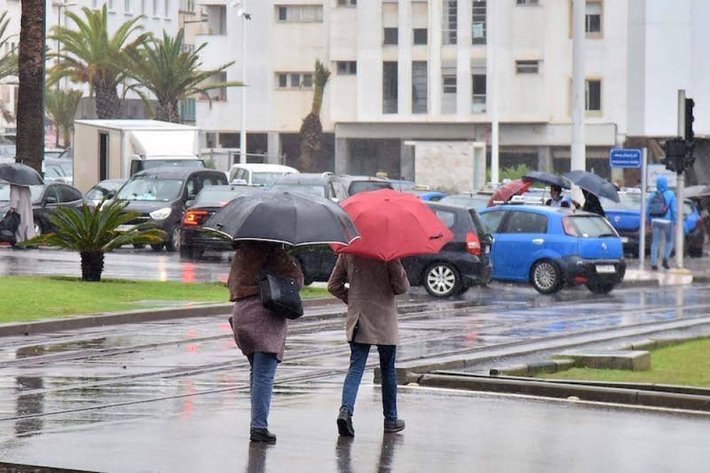 مقاييس التساقطات المطرية المسج